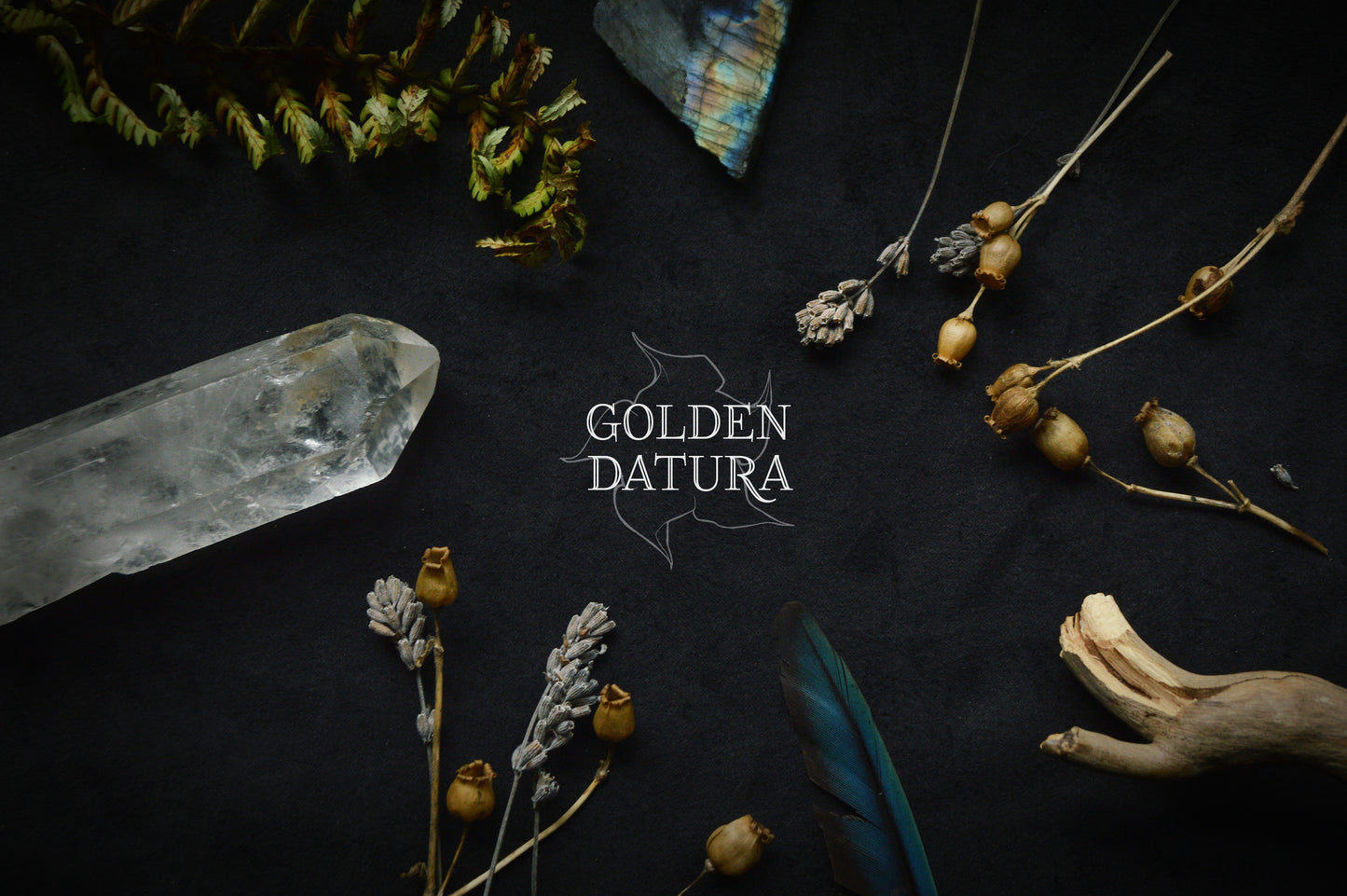 Golden Datura Gift Card